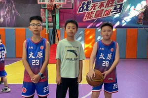 肃宁县体育馆篮球训练营地址